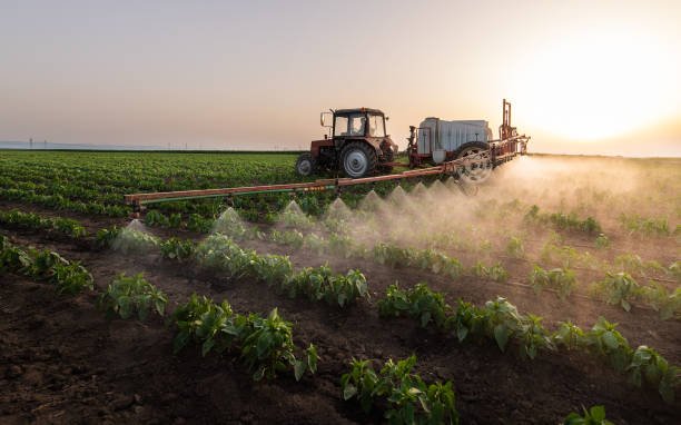 Best Wildlife Control Services  in Ofallon, IL