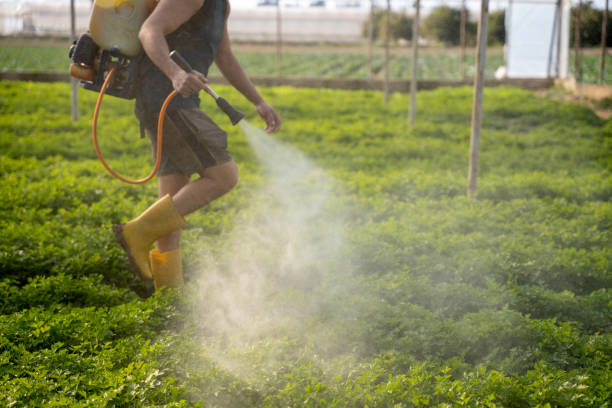 Best Pest Control Near Me  in Ofallon, IL