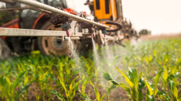 Best Pest Inspection Near Me  in Ofallon, IL